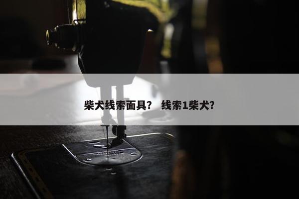 柴犬线索面具？ 线索1柴犬？