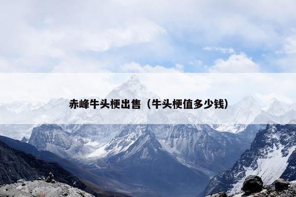 赤峰牛头梗出售（牛头梗值多少钱）