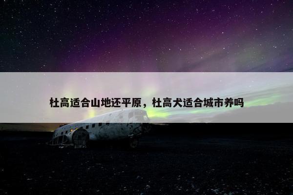 杜高适合山地还平原，杜高犬适合城市养吗