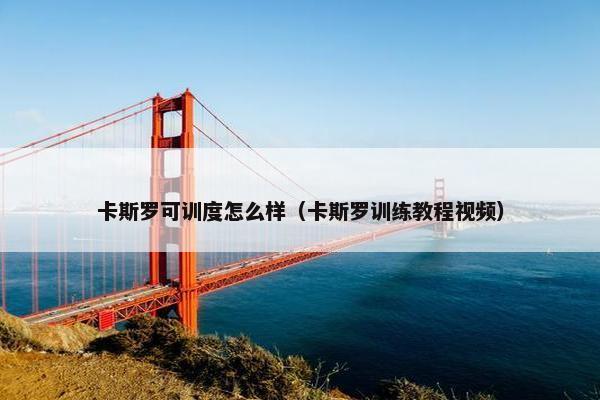 卡斯罗可训度怎么样（卡斯罗训练教程视频）