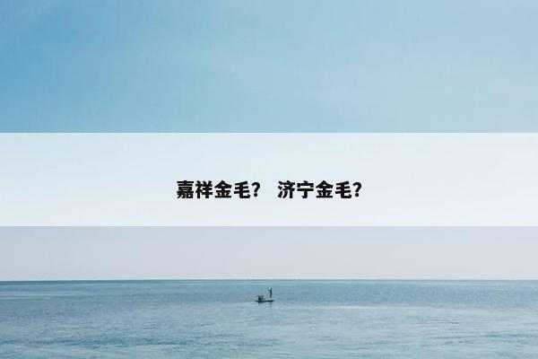 嘉祥金毛？ 济宁金毛？