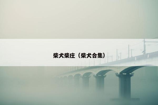 柴犬柴庄（柴犬合集）