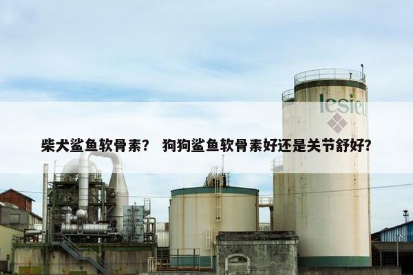 柴犬鲨鱼软骨素？ 狗狗鲨鱼软骨素好还是关节舒好？