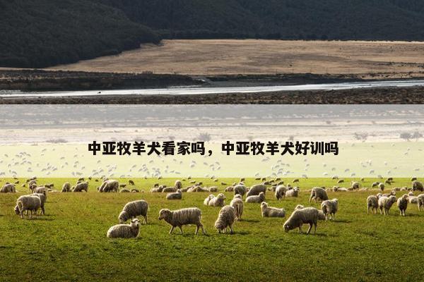 中亚牧羊犬看家吗，中亚牧羊犬好训吗