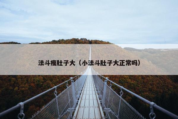 法斗瘦肚子大（小法斗肚子大正常吗）