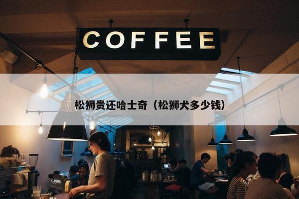 松狮贵还哈士奇（松狮犬多少钱）