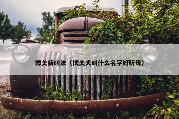 博美新叫法（博美犬叫什么名字好听母）