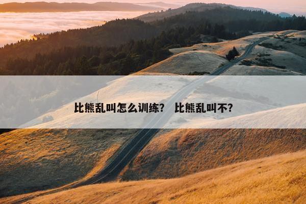 比熊乱叫怎么训练？ 比熊乱叫不？