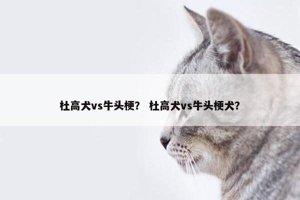 杜高犬vs牛头梗？ 杜高犬vs牛头梗犬？