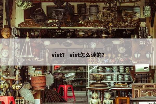 vist？ vist怎么读的？
