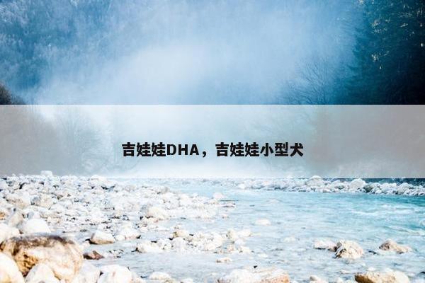 吉娃娃DHA，吉娃娃小型犬