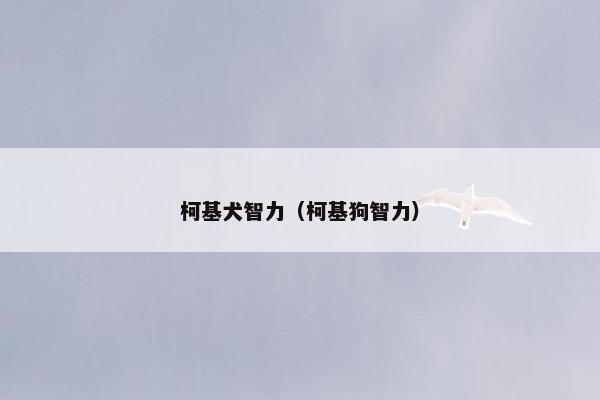 柯基犬智力（柯基狗智力）
