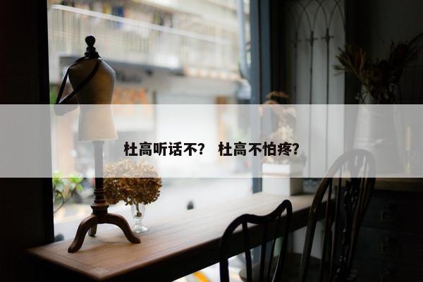 杜高听话不？ 杜高不怕疼？