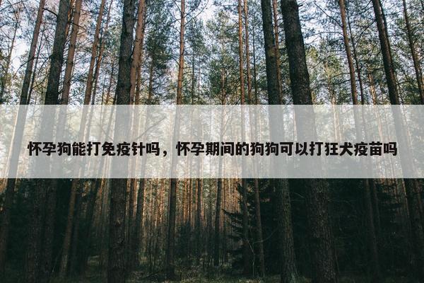 怀孕狗能打免疫针吗，怀孕期间的狗狗可以打狂犬疫苗吗