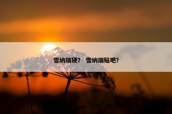 雪纳瑞硬？ 雪纳瑞贴吧？