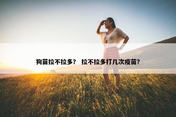 狗苗拉不拉多？ 拉不拉多打几次疫苗？