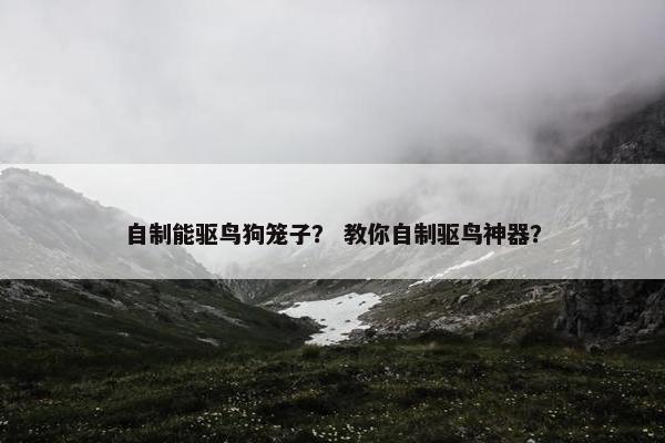自制能驱鸟狗笼子？ 教你自制驱鸟神器？
