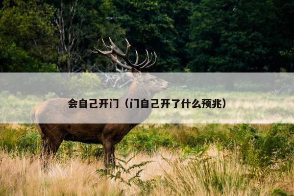 会自己开门（门自己开了什么预兆）