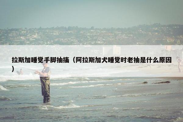 拉斯加睡觉手脚抽搐（阿拉斯加犬睡觉时老抽是什么原因）