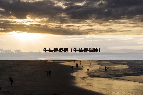 牛头梗被抱（牛头梗撞脸）