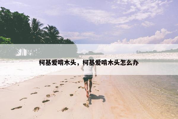 柯基爱啃木头，柯基爱啃木头怎么办