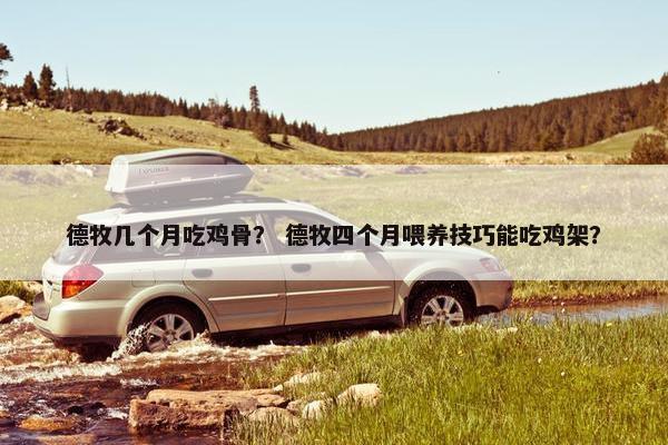 德牧几个月吃鸡骨？ 德牧四个月喂养技巧能吃鸡架？