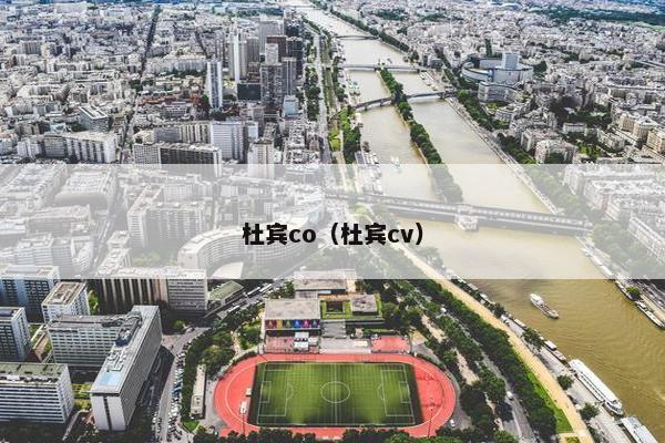 杜宾co（杜宾cv）