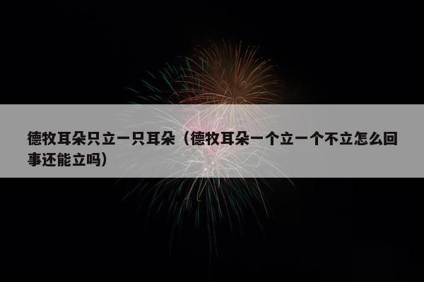 德牧耳朵只立一只耳朵（德牧耳朵一个立一个不立怎么回事还能立吗）