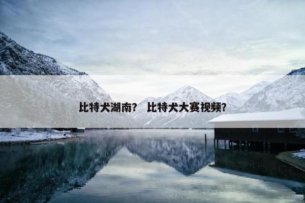 比特犬湖南？ 比特犬大赛视频？