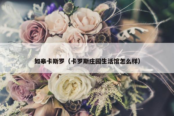 如皋卡斯罗（卡罗斯庄园生活馆怎么样）