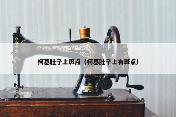 柯基肚子上斑点（柯基肚子上有斑点）