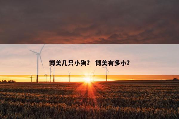 博美几只小狗？ 博美有多小？