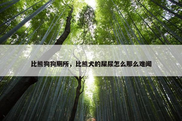 比熊狗狗厕所，比熊犬的屎尿怎么那么难闻