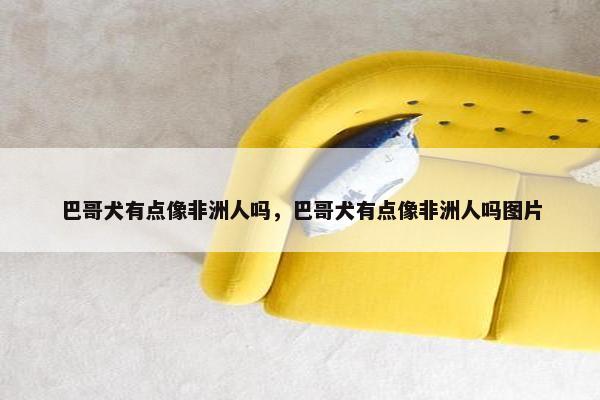 巴哥犬有点像非洲人吗，巴哥犬有点像非洲人吗图片