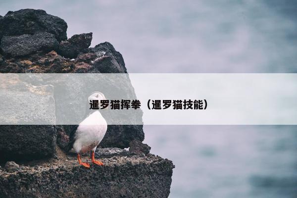 暹罗猫挥拳（暹罗猫技能）