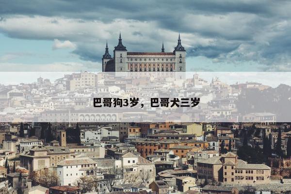 巴哥狗3岁，巴哥犬三岁