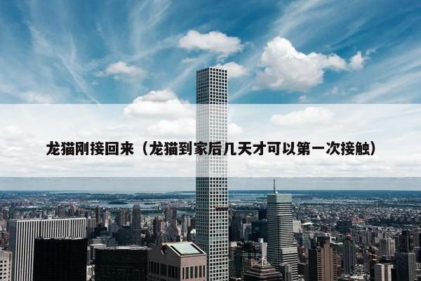 龙猫刚接回来（龙猫到家后几天才可以第一次接触）