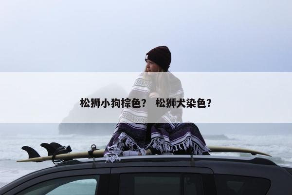松狮小狗棕色？ 松狮犬染色？