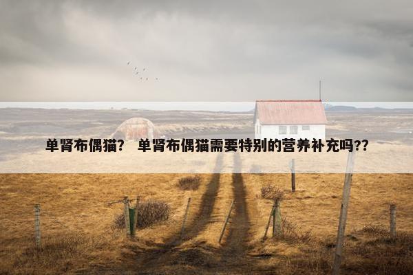 单肾布偶猫？ 单肾布偶猫需要特别的营养补充吗?？