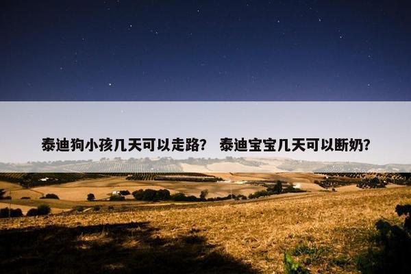 泰迪狗小孩几天可以走路？ 泰迪宝宝几天可以断奶？