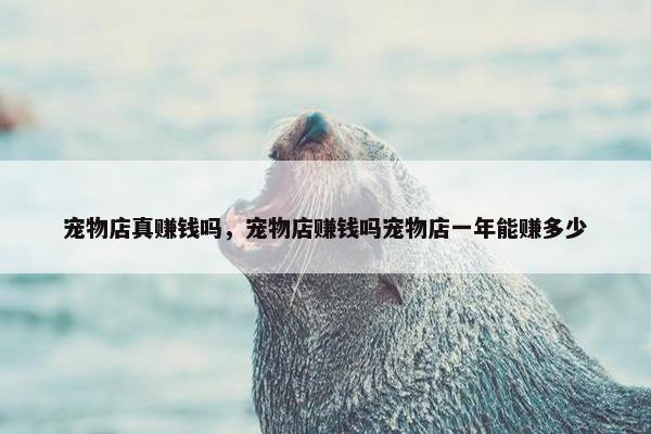 宠物店真赚钱吗，宠物店赚钱吗宠物店一年能赚多少
