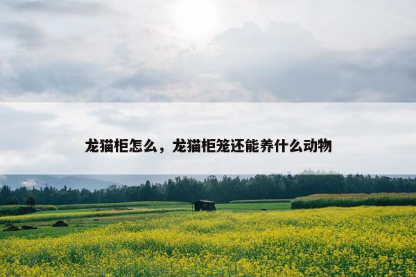 龙猫柜怎么，龙猫柜笼还能养什么动物