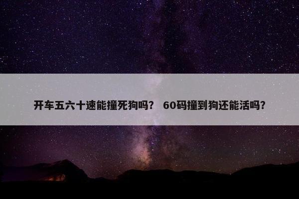 开车五六十速能撞死狗吗？ 60码撞到狗还能活吗？