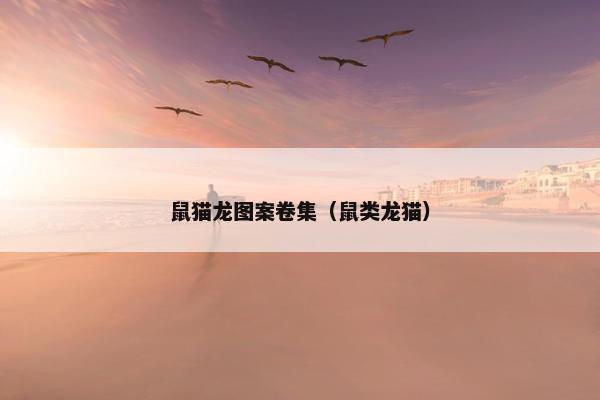 鼠猫龙图案卷集（鼠类龙猫）