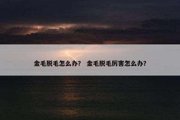 金毛脱毛怎么办？ 金毛脱毛厉害怎么办？