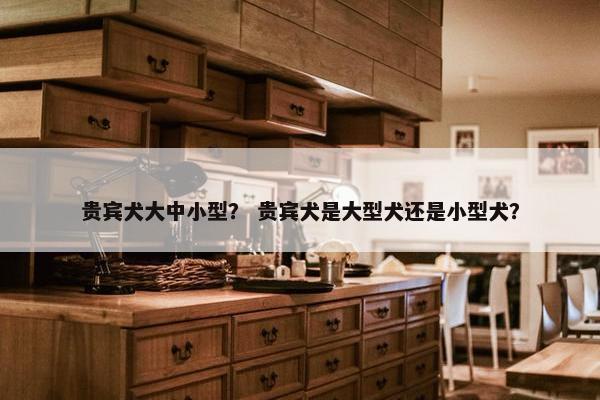 贵宾犬大中小型？ 贵宾犬是大型犬还是小型犬？