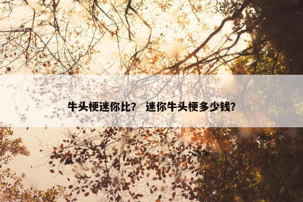 牛头梗迷你比？ 迷你牛头梗多少钱？