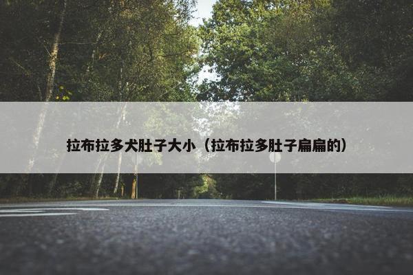 拉布拉多犬肚子大小（拉布拉多肚子扁扁的）