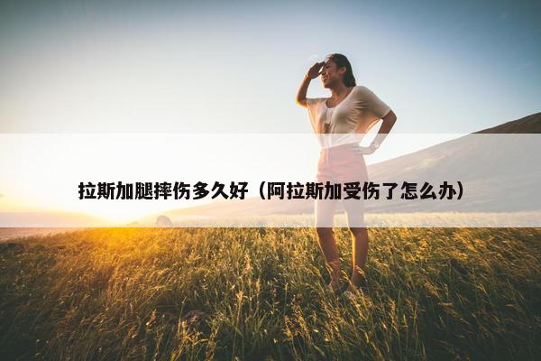 拉斯加腿摔伤多久好（阿拉斯加受伤了怎么办）