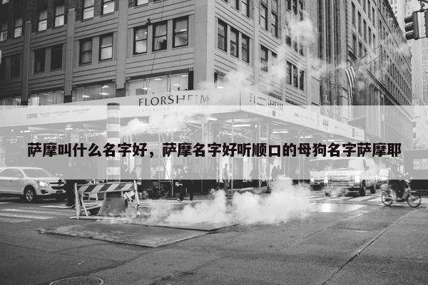萨摩叫什么名字好，萨摩名字好听顺口的母狗名字萨摩耶